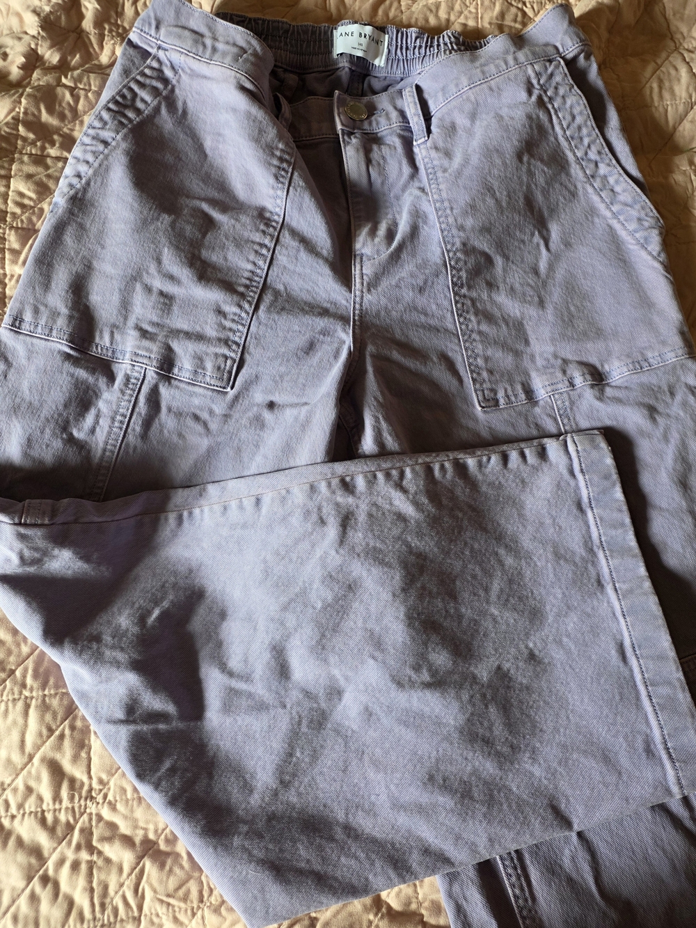 Lane Bryant Wide LEG Lavender Cargo Pants